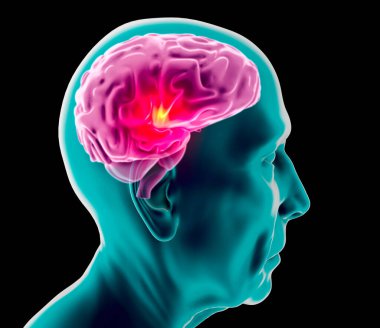 Yaşlı bir adamın beyninin yan görüntüsü. Nöronlar ve sinapslar. İletişim ve serebral uyarıcılar. Nöral ağ devresi, dejeneratif hastalıklar, Parkinson, Alzheimer. Yaşlı adam. 3d hazırlayıcı