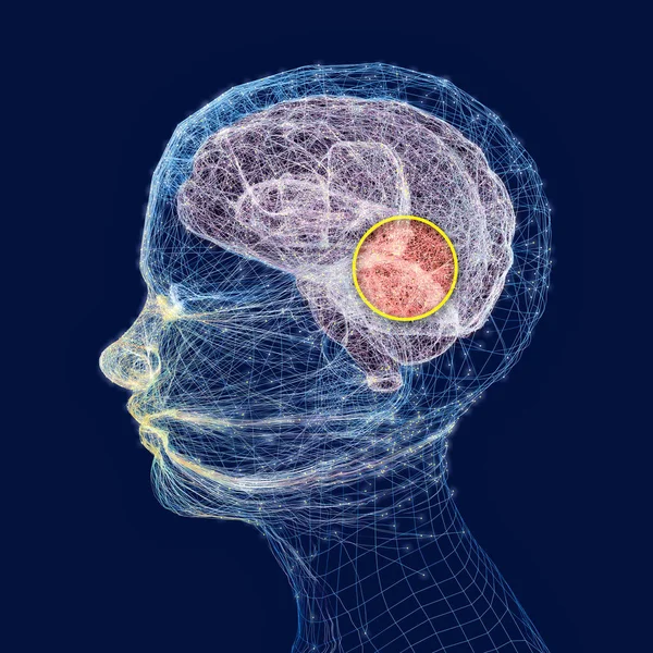 Neurologie Filosofie Geneeskunde Van Toekomst Neurale Verbindingen Ontwikkeling Van Denken — Stockfoto