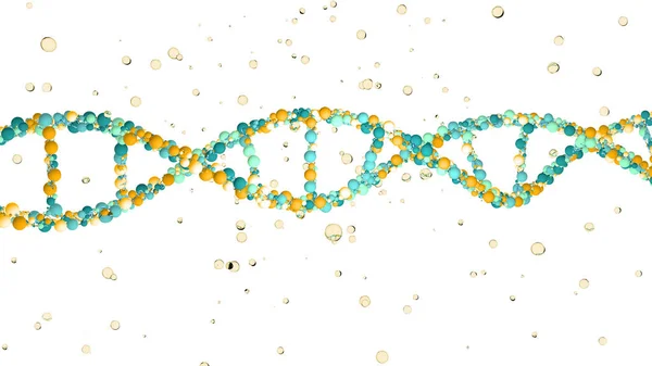 Dnaヘリックス デオキシリボヌクレオシド酸は 成長に使用される遺伝的指示を運ぶヌクレオチドの糸状の鎖であります すべての既知の生物の開発 3Dレンダリング — ストック写真