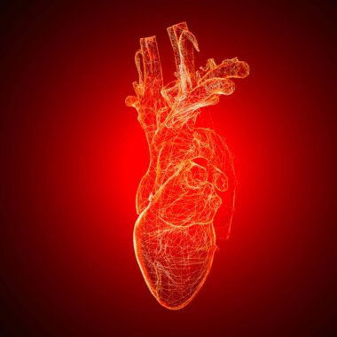 Kalbin anatomik incelemesi. Kalp sorunları, kalp krizi. Ameliyat mı? 3 boyutlu görüntüleme. Siluet. Kalp, dolaşım sisteminin kan damarlarına kan pompalayan kaslı bir organdır.