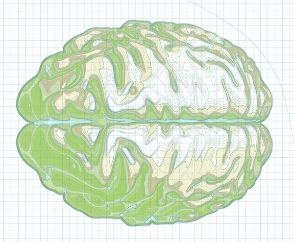 Mapa Geográfico Del Cerebro Reelaboración Del Cerebro Humano Forma Mapa —  Fotos de Stock