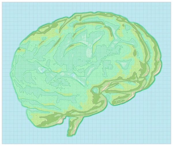 Geographic map of the brain, reworking of the human brain in the form of a map. Concept. CT scan. 3d render. Heights and orography, mountainous reliefs, valleys and terrains of the mind
