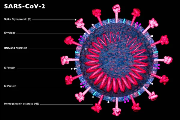 코로나 바이러스의 일부입니다 초거성 Covid Sars Cov 과학적 분석과 바이러스에 — 스톡 사진