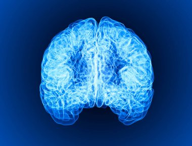 Baş ağrısı, beyin ve sinapslar, bilişsel sorunlar, zihinsel bozukluklar. Anevrizma. Beyin bölgesini etkileyen dejeneratif hastalıklar. Parkinson ve Alzheimer. 3 boyutlu görüntüleme. Vuruş