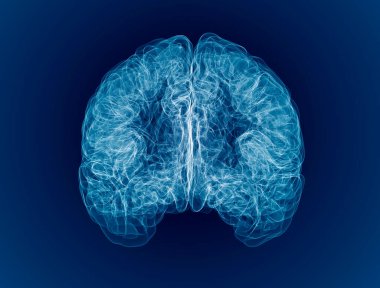 Beyninle, uyarıcılarınla ve fikirlerinle ilgilen. Fonksiyonlar ve nöronlar. Sinapslar. Dejeneratif hastalıklar, Parkinson ve Alzheimer. Felç. 3d hazırlayıcı