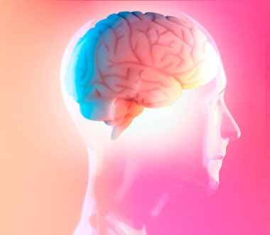 Beyin potansiyeli. Fikirler ve yenilikler. Zihnini boşalt. Sinapslar ve yapay zeka. Bulut ve küreselleşme. 3 boyutlu görüntüleme. İnsan anatomisi ve beyin, yan görüş. Nöronlar