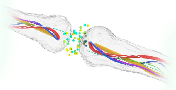 Conexiones Sinapsis Estructura Que Permite Una Neurona Célula Nerviosa Transmitir —  Fotos de Stock