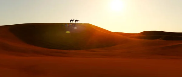 Dromedare Auf Den Dünen Bei Sonnenuntergang Der Wüste Silhouette Wüstensonne — Stockfoto