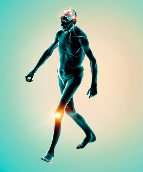 Motor Functions Knee Pain How Brain Controls Movements Human Body — ストック写真