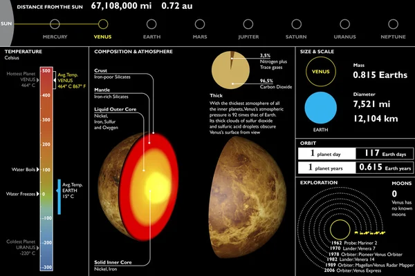 Venus sectie snijden — Stockfoto