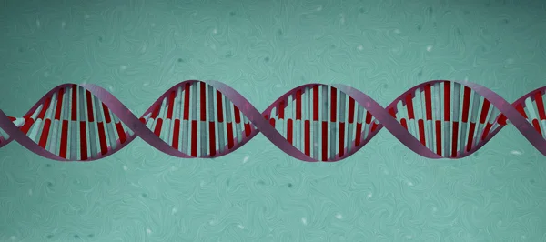 Dna 螺旋单元格κελί έλικας DNA — Φωτογραφία Αρχείου