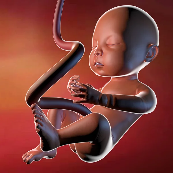 Ofödda barnet med navelsträngen — Stockfoto