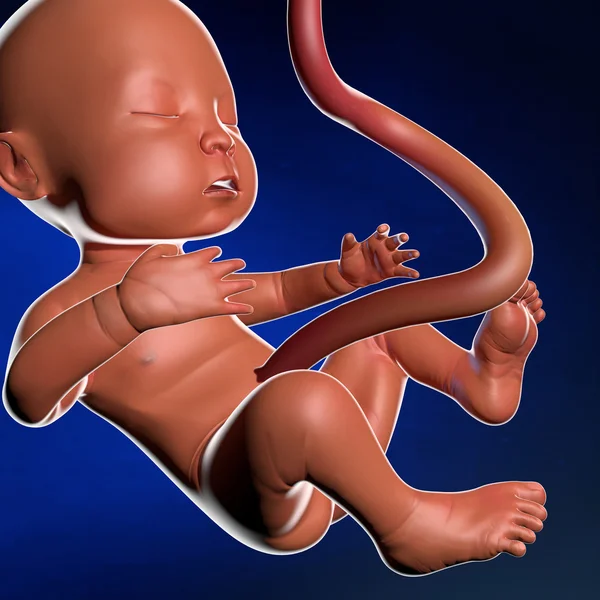 Ofödda barnet med navelsträngen — Stockfoto