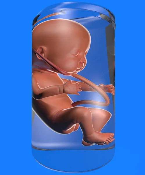 Incubação fetal — Fotografia de Stock