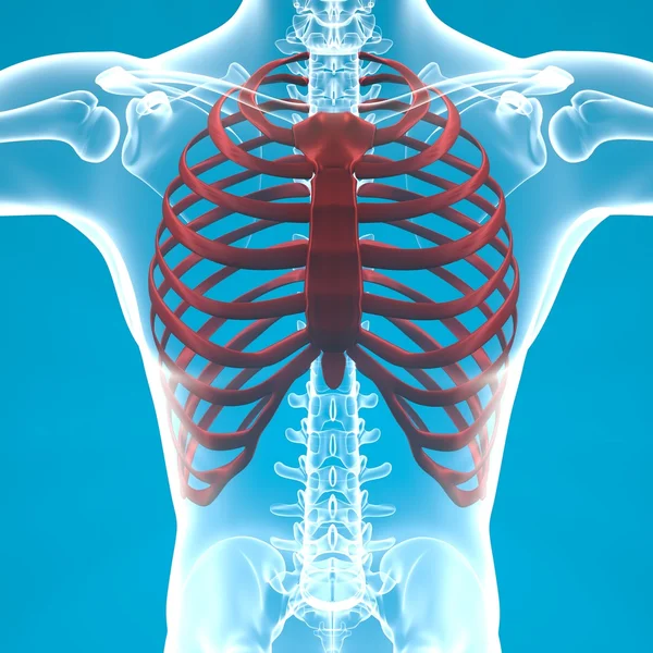 Human ribcage X-ray — Stock Photo, Image