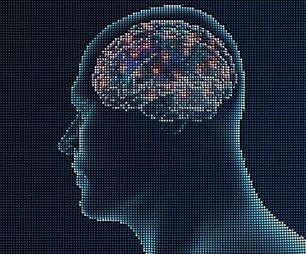 human brain in pixels