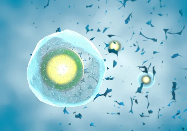 Single human egg cell — Stock Photo, Image