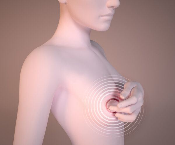 body anatomy breast cancer