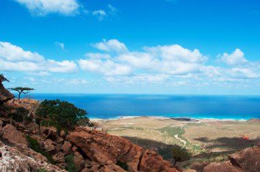 Socotra, Yemen, Middle East: the breathtaking view of the Arabian Sea seen from the heart of the Dragon Blood trees forest within the protected area of the Homhil Plateau on the island of Socotra, Unesco world heritage site  clipart