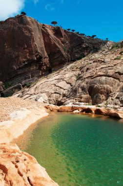 Sokotra, Yemen, Orta Doğu: wadi, dağ Gölü, Dragon kan merkezinde nefes kesen manzarası Homhil Yaylası Sokotra Adası üzerinde UNESCO Dünya Miras Listesi için onun biodi 2008 yılından bu yana korumalı alanı içinde orman ağaçları