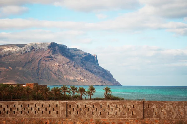 Socotra, Yemen, Midden-Oosten: een stenen muur en palmbomen met uitzicht op het Ras Shuab voorgebergte, Shuab Bay beach, een van de beroemdste stranden van de, in een afgelegen inham van de Arabische Zee van het eiland Socotra — Stockfoto