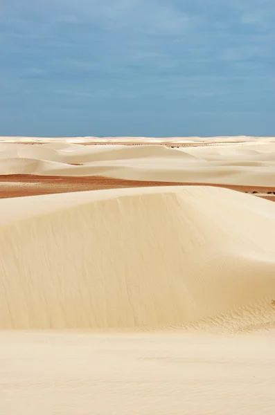 Socotra (Soqotra), Iêmen, Oriente Médio: vista aérea das dunas de areia de Stero na área protegida da praia de Aomak na ilha, que abriga um alto número de espécies endêmicas e centro de biodiversidade única — Fotografia de Stock