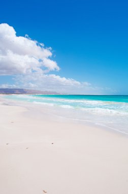 Sokotra (Soqotra), Yemen, Orta Doğu: nefes kesen ve panoramik görünüm koruma bölgesinin kalbinde Aomak plaj olan adada çok sayıda endemik türler ve benzersiz biyolojik çeşitlilik merkezi ev sahipliği 