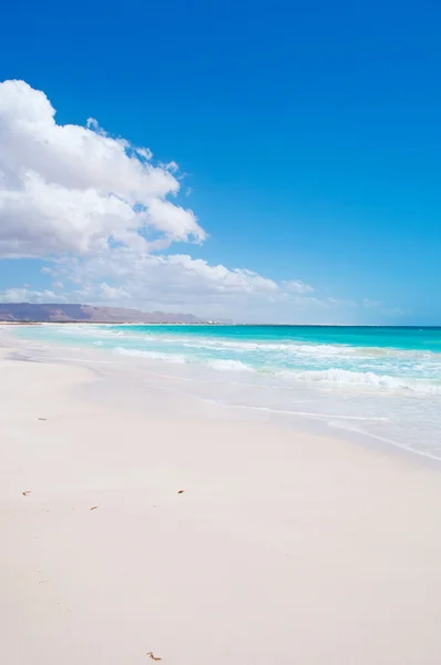 Socotra (Soqotra), Yemen, Middle East: breathtaking and panoramic view of the protected area of Aomak beach on the island which is home to a high number of endemic species and center of unique biodiversity — Stock Photo, Image