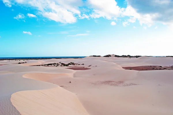 Socotra (Soqotra), 예멘, 중동: Aomak의 보호 영역에 Stero의 모래 언덕의 공중 보기는 섬에 비치 고유종의 높은 숫자와 독특한 생물 다양성의 센터 — 스톡 사진