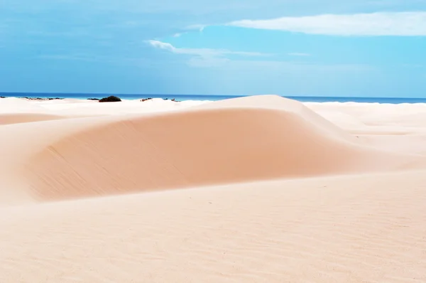 Sokotra (Soqotra), Jemen, Bliski Wschód: widok z lotu ptaka wydmy Stero w obszarze chronionym Aomak plaża na wyspie, która jest domem dla dużej liczby gatunków endemicznych i centrum niezwykłej różnorodności biologicznej — Zdjęcie stockowe