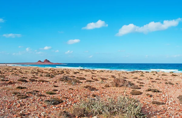 Socotra, Yemen, Medio Oriente: il paesaggio mozzafiato e la spiaggia con coralli nell'area di DiHamri, un'area marina protetta nel nord-est di Socotra, patrimonio mondiale dell'Unesco dal 2008 — Foto Stock