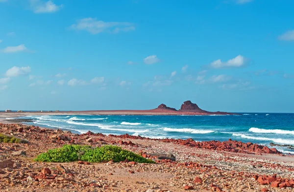 Socotra, Yemen, Medio Oriente: il paesaggio mozzafiato e la spiaggia con coralli nell'area di DiHamri, un'area marina protetta nel nord-est di Socotra, patrimonio mondiale dell'Unesco dal 2008 — Foto Stock