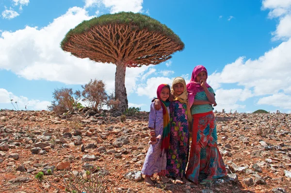 Socotra, Iêmen, Oriente Médio: meninas e uma árvore de sangue de dragão na floresta de árvores de sangue de dragão no cânion de Shibham, área protegida do Planalto Dixam na parte central da ilha de Socotra — Fotografia de Stock