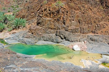 Sokotra, Yemen: Dirhur oasis ile onun dağ Gölü, Ejderha kanı kalbinde wadi Dixam Yaylası Sokotra Adası üzerinde UNESCO Dünya Miras Listesi 2008 yılından bu yana korumalı alanında orman ağaçları 