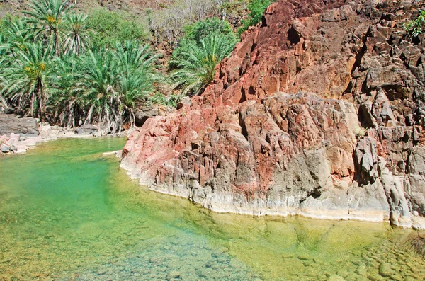 Socotra, Yemen: de oase van Dirhur met haar bergmeer, de wadi, in het hart van de draak bloed bomen bos in het beschermde gebied van Dixam Plateau op het eiland Socotra, Unesco werelderfgoed sinds 2008 — Stockfoto