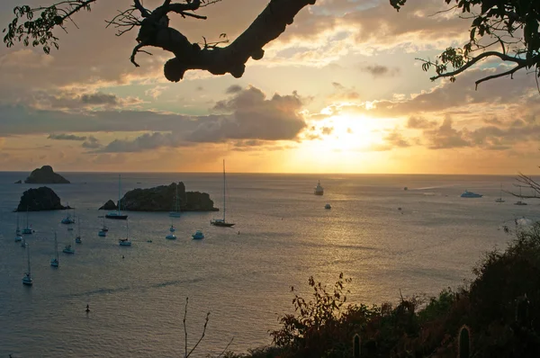 Saint Barthelemy (St Barth, St. Barths or St. Barts: a breathtaking sunset with sailboats and yachts moored in the harbour of Gustavia seen from a footpath over the hills — Stock Photo, Image