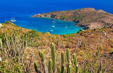 Saint Barthelemy (St Barth, St. Barths veya St. Barts): panoramik tenha Colombier plaj ve bay, David Rockefeller özelliği etrafında ait çünkü Rockefeller Beach denilen