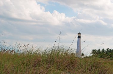 Miami: bıçaklar otu ve görünümü Cape Florida ışık, 1825'te Cape Florida Key Biscayne Bill Baggs Cape Florida State Park güney ucundaki üzerine kurulmuş bir deniz feneri