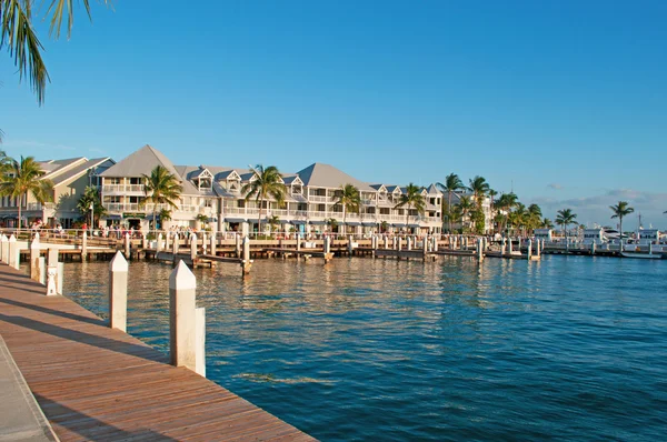 Key West: palme, un molo e il tipico skyline con la storica architettura Key West, un mix eclettico di oltre 3.000 edifici in legno risalenti al 1886-1912 — Foto Stock