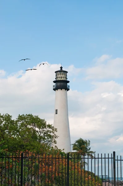 Miami: pohled na mys floridské světlo, maják postavený v roce 1825 na mysu Floridy na jižním konci Key Biscayne ve státním parku Billa Baggs Cape Floridu — Stock fotografie