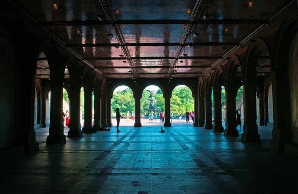 Nowy Jork: Minton dachówka sufit w arcade Bethesda taras, niższe przejście fontanna Bethesda, utworzone w 1860 i jedną z głównych cech architektonicznych Central Park — Zdjęcie stockowe