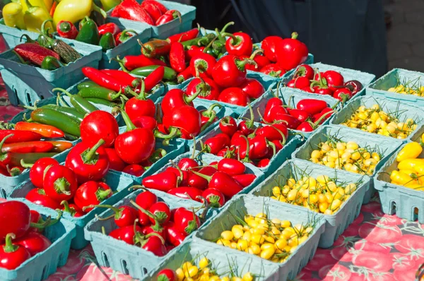 New York City: cardboard trays with red and green peppers, vegetables and sweet corn on a stand of the Union Square greenmarket — Stock Photo, Image