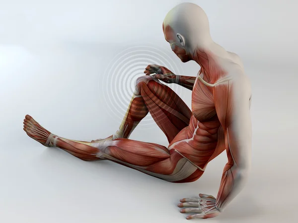 Human body, knee pain — Stock Image Human body, knee pain Royalty Free Stock Photos