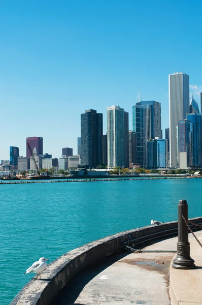 Чикаго, Іллінойс: чайки і горизонт міста видно з військово-морський Пірс, знаменитого Пірса, побудований в 1916 році на Чикаго берегової лінії озері Мічиган — стокове фото