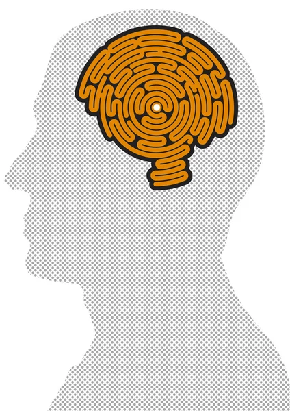 Mózg w kształcie labiryntu, widok z boku — Zdjęcie stockowe