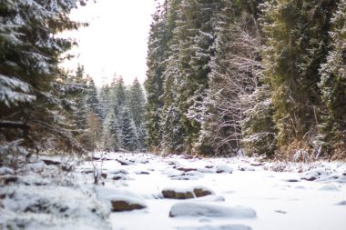 Harika kış manzarası. Kış dağı ormanı. doğanın görkemli manzaraları. Kış tatili Noel konsepti, alışılmadık güzel manzara. fantastik kış arka planı.