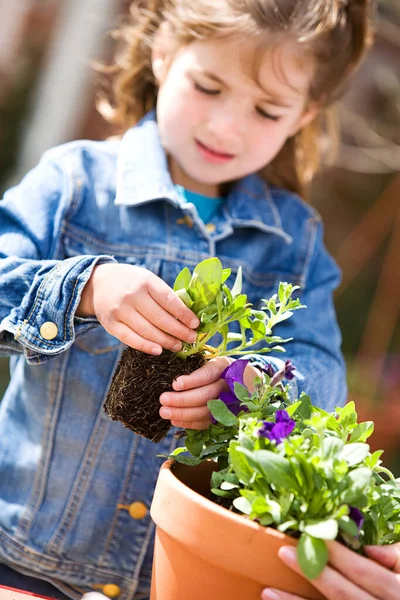 Series Mother Daughter Outdoors Spring Planting Flowers — Stock Photo, Image