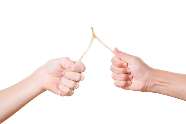 Two Hands Breaking A Wishbone isolé sur blanc — Photo