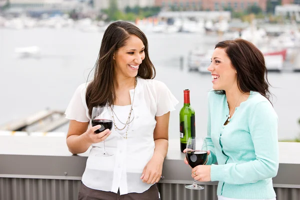 Vinho: Meninas compartilham um copo de vinho e bate-papo — Fotografia de Stock