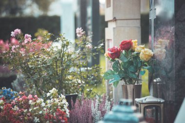 Mezarlıktaki bir mezara güzel güller yakın.